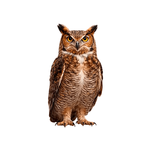 Yritysrahoitusta Finnvera-takauksella