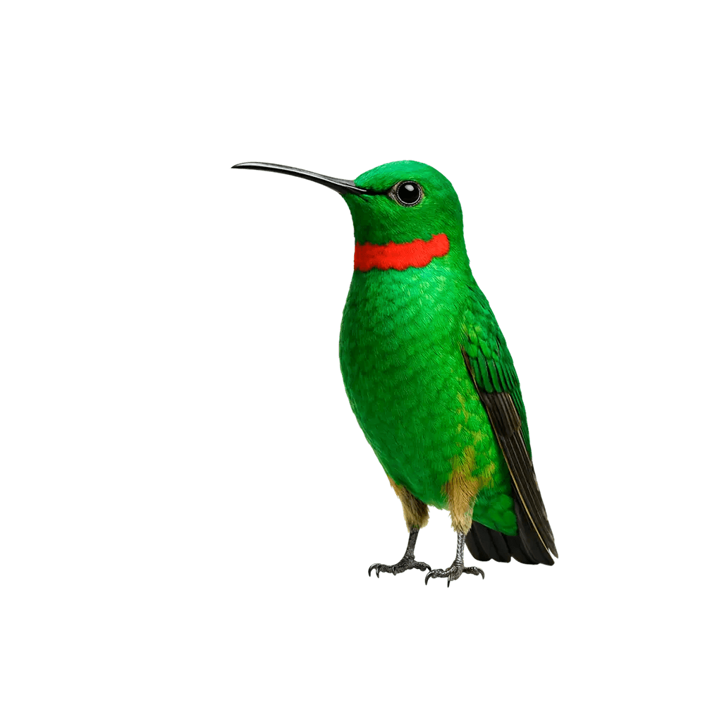 Luottokortti yritykselle