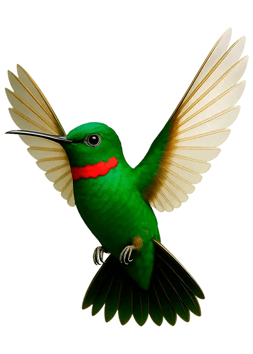 Rahoituspalvelut yrityksille