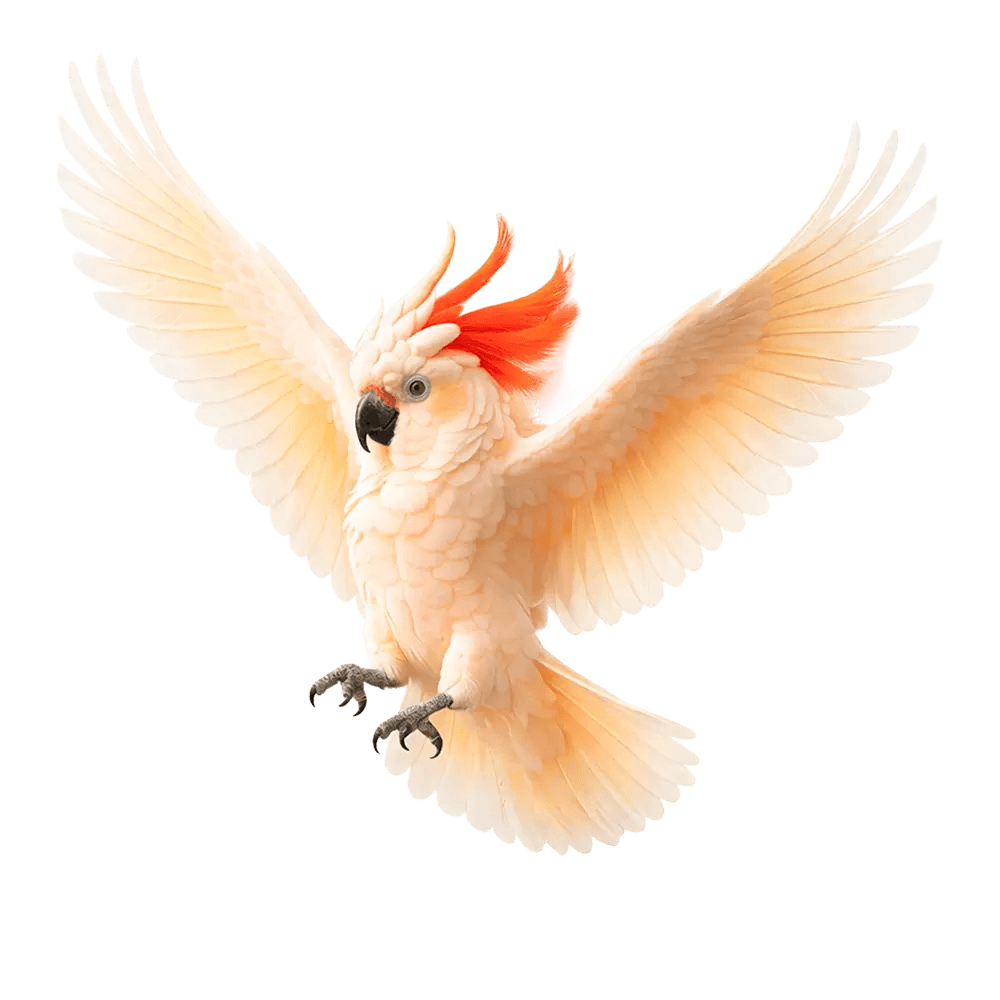 Paras korko määräaikaistalletukselle