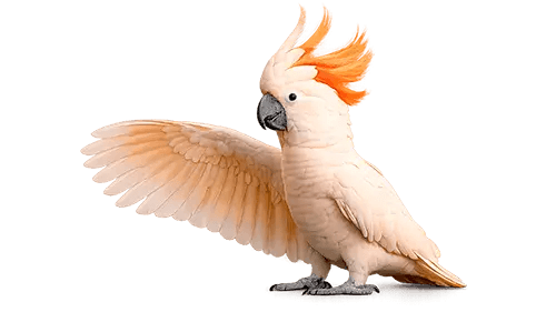 Asiakasvarojen säilyttäminen