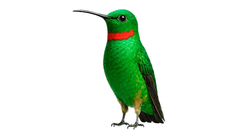 Väärinkäytösepäilystä ilmoittaminen